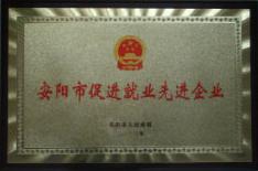 2013年度促進就業(yè)先進企業(yè)